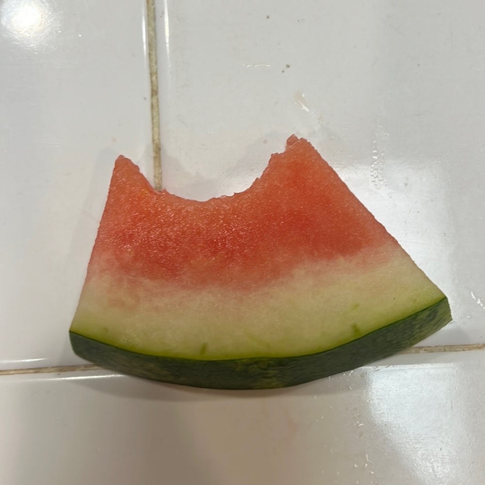 Lululemon 2.5” half watermelon hotty hots